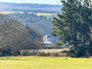 Photo 2- click for photo gallery